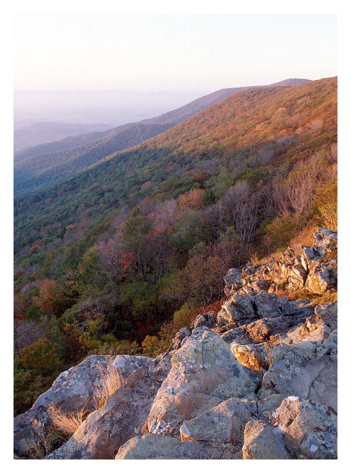 Shenandoah NP